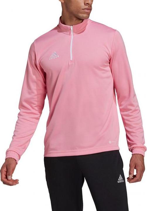 Actual product image adidas Entrada 22 men's training sweatshirt (L)