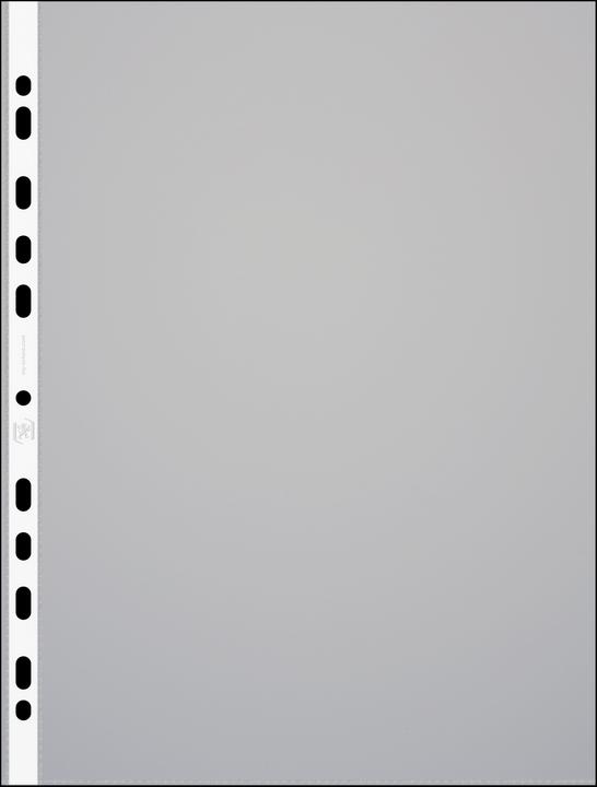 Cicatrice, Transparent