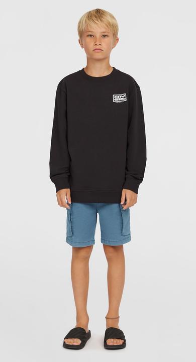 Image du produit O'Neill Logo Crew (104)
