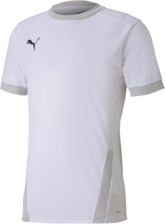 Puma teamGOAL 23 Jersey-704171