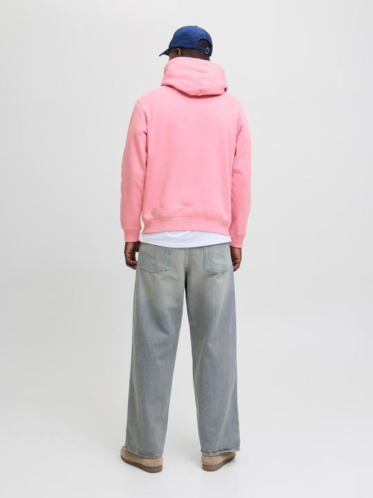 Actual product image Jack & Jones Kapuzenpullover Kapuzenpullover (L)