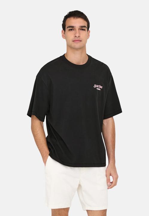 Actual product image Only & Sons T-Shirt Malik Jims Kurzarmshirt (S)