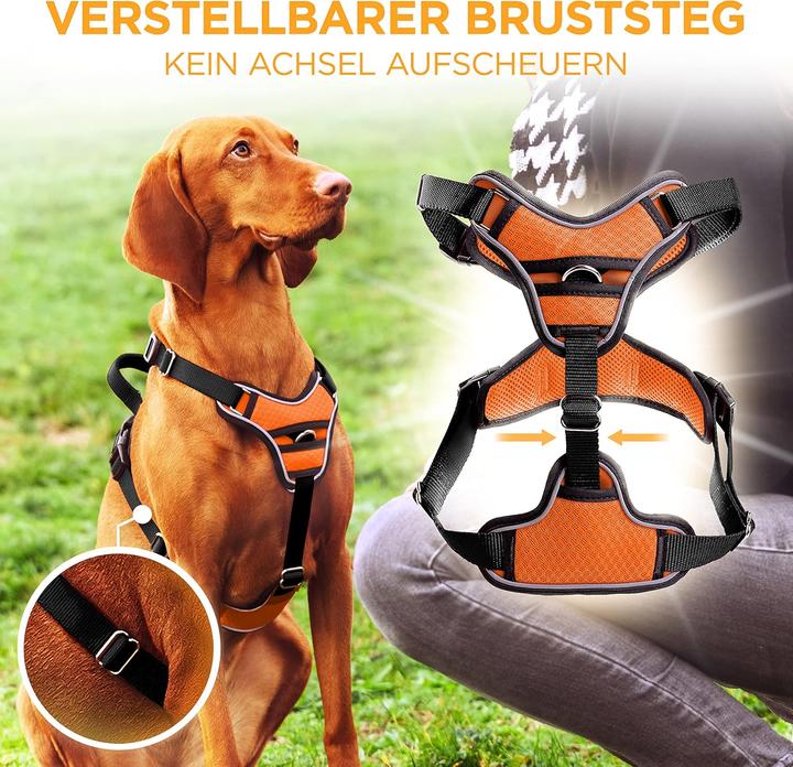 Image du produit Tierhood Reflektierendes Anti Zug Hundegeschirr (Chien)