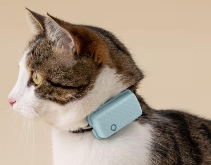 Immagine prodotto Tractive GPS Mini (Taglia unica, Gatto, Generale)