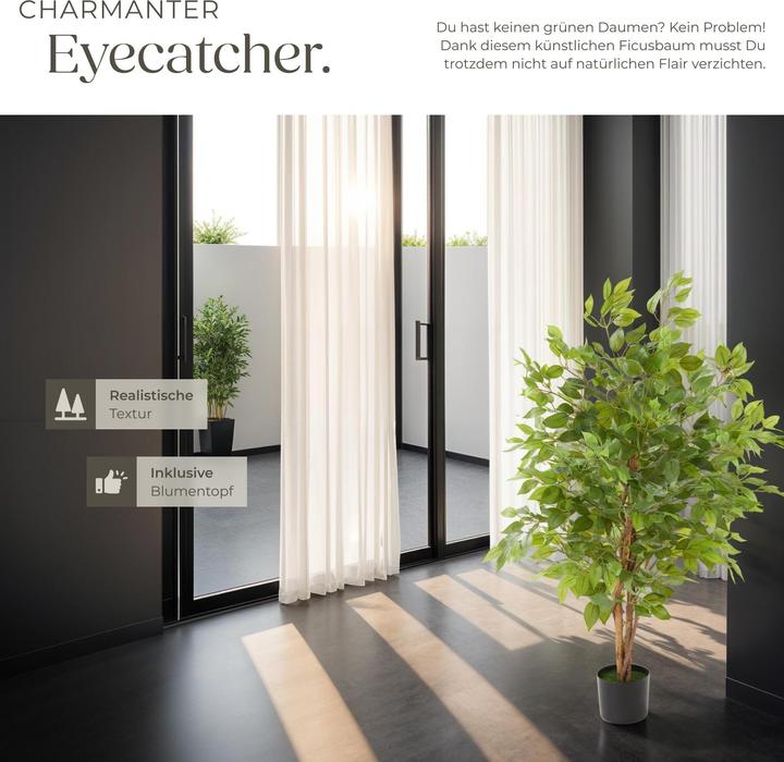 Produktbild tectake Ficusbaum Fida (120 cm)