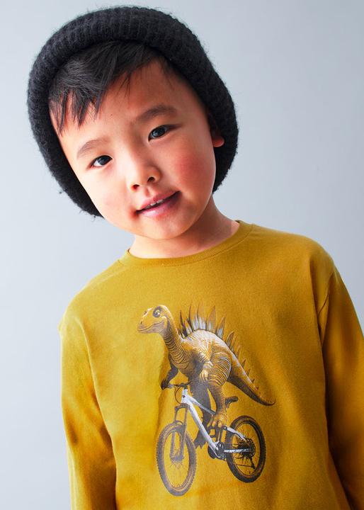 Actual product image MAYORAL T-Shirt Dinosaurier (104)