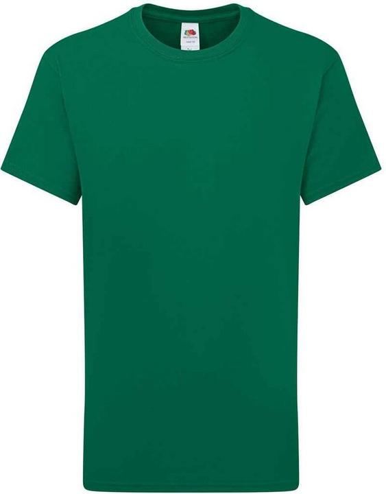 Fruit of the Loom Iconic 195 Premium TShirt