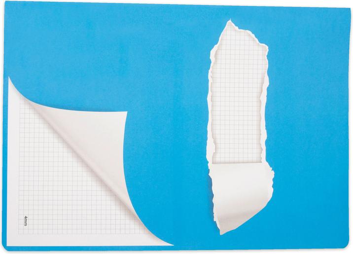 Actual product image Elco Exercise book (A4, Checked, Soft cover)