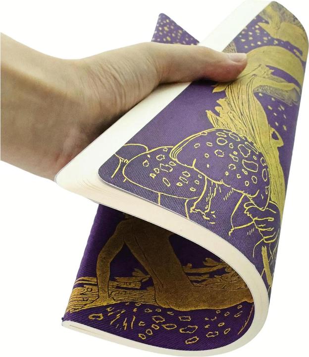 Image du produit Paperblanks Cahier de notes Lang's Fairy Books A4, ligné, or / violet (A4, À rayures, Couverture souple)