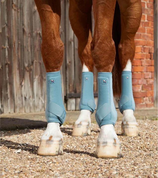 Produktbild Premier Equine gamachen air-tech port medecine
