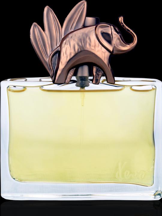 Actual product image Kenzo Jungle L'Elephant (Eau de parfum, 100 ml)