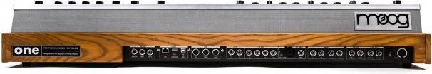 Actual product image Moog One 16