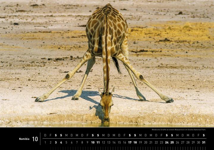 Produktbild Namibia Premiumkalender 2026 (50 x 35 cm, Harter Einband, Deutsch)