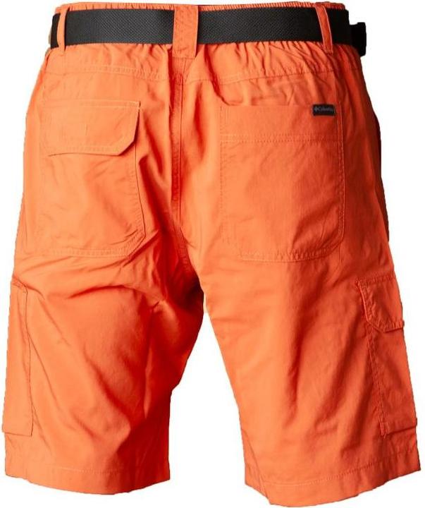 Image du produit Columbia Short Cargo Silver Ridge™ Utility Homme (36)