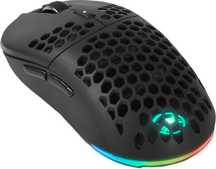 Gamiac PX71 Mice - Black - Pixart 3335, Wired & Wireless, 16000 DPI, 16,8M RGB effects (Cable)