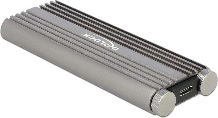 Delock Externes Gehäuse 42001 (M.2)