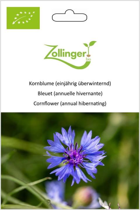 Zollinger Bio Fiordaliso (annuale svernante) (Pianta bulbosa)