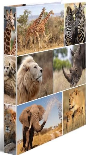 Actual product image HERMA A4 ring binder motif (A4, 35 mm, 1 Piece)