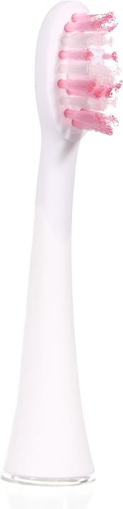 Immagine prodotto Ailoria Splendore luminoso (12 x)