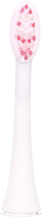 Immagine prodotto Ailoria Splendore luminoso (12 x)