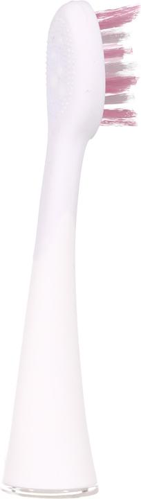 Immagine prodotto Ailoria Splendore luminoso (12 x)