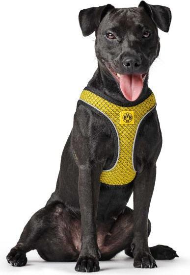 Produktbild Hunter Dog Harness Hilo BVB XS - (68588) (XS, Hund, Hundesport)