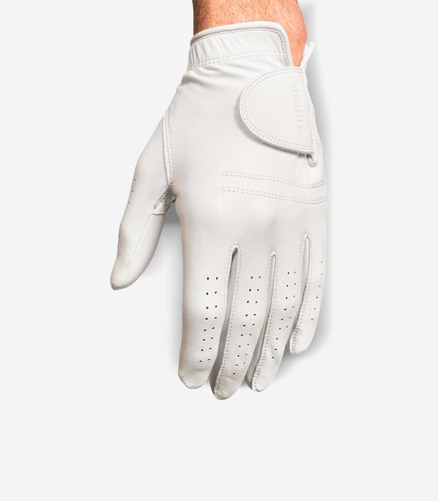Actual product image Inesis Cabretta (XL)