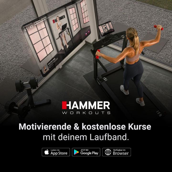 Actual product image Hammer Fitness Q. VADIS 3.0
