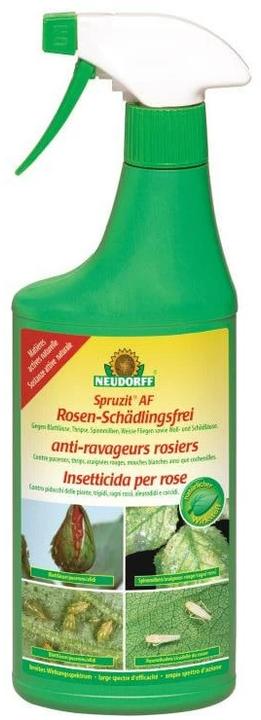 Produktbild Neudorff Spruzit AF Rosenspray (Pflanzen)