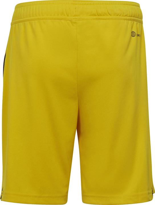 Actual product image adidas Children's shorts Tiro 23 League yellow IB8095 (116cm) (116)