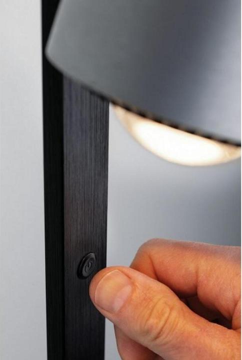 Actual product image Paulmann Aldan (827 lm)