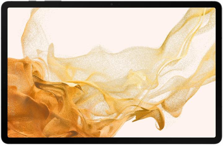 Actual product image Samsung Galaxy Tab S8+ (5G, 12.40", 128 GB, Graphites)