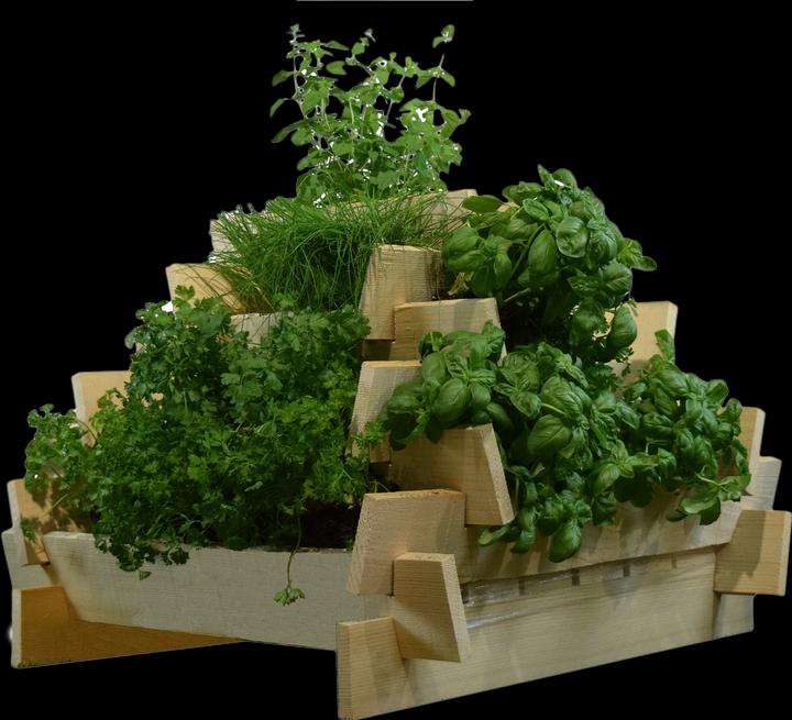 Produktbild DIY-Wood Kräuterpyramide