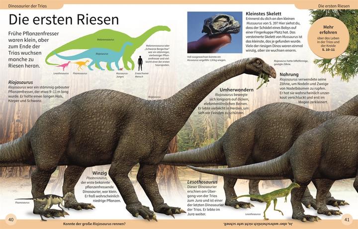 Actual product image DK Kinderlexikon. Dinosaurier (German, Caroline Bingham, 2022)