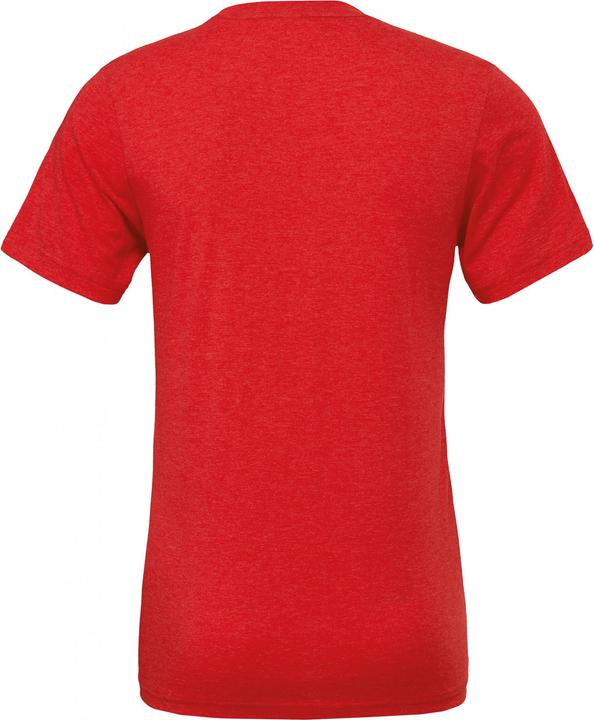 Actual product image Bella Canvas Triblend Tee (XL)