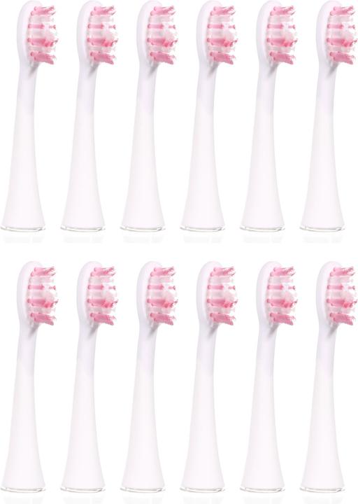 Immagine prodotto Ailoria Splendore luminoso (12 x)