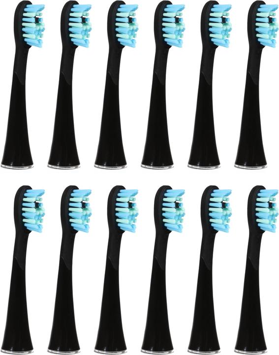 Ailoria Shine Bright (12 x)