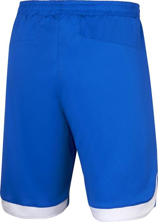 Actual product image Mizuno Prem Handball Short (L)