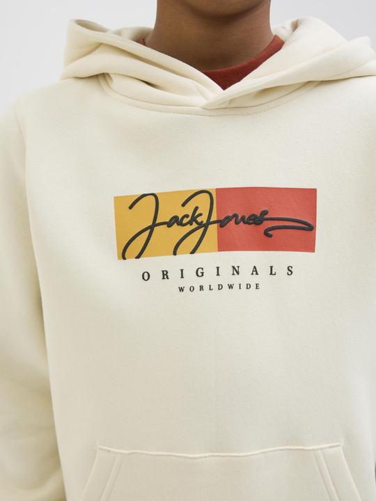 Image du produit Jack & Jones Logo Kapuzenpullover Mini Kapuzenpullover (128)