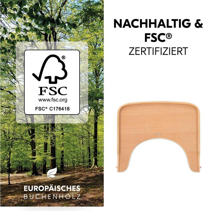 Actual product image Hauck Alpha Tray