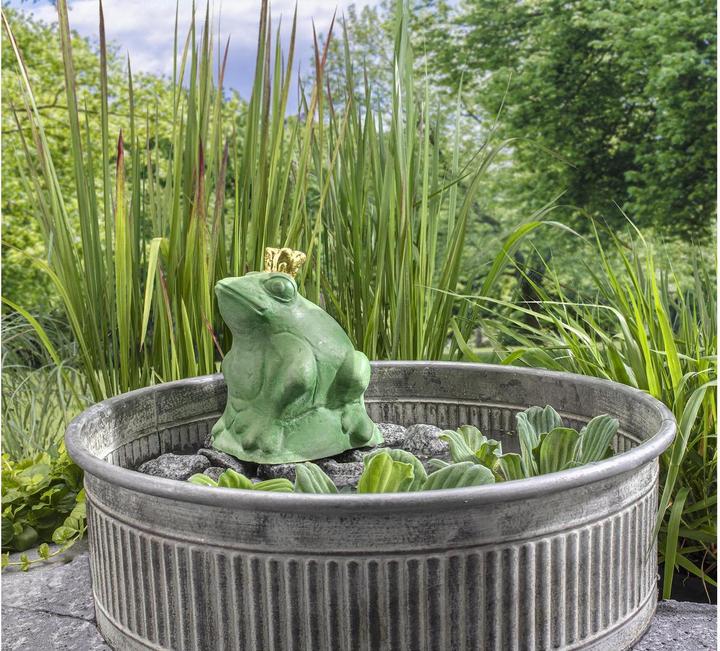 Produktbild Glorex Latexform Froschkönig