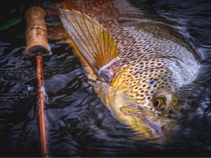 Image du produit Vision Rivermaniac Fast 906-4 (Canne à mouche, 275 cm)
