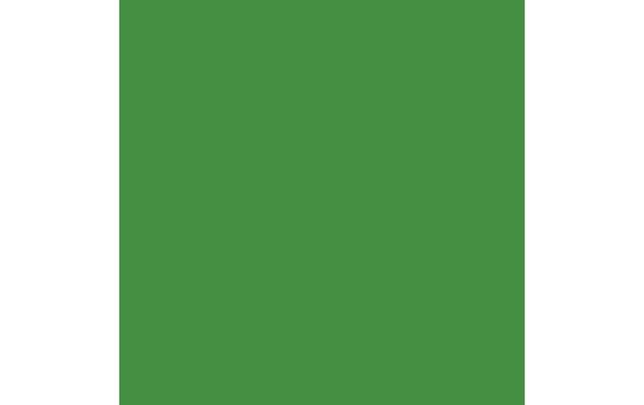 Productafbeelding Amsterdam Standaard serie (Permanent groen licht, 120 ml)