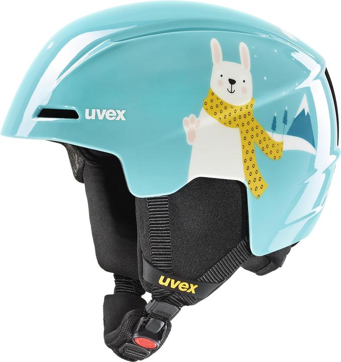 turquoise rabbit