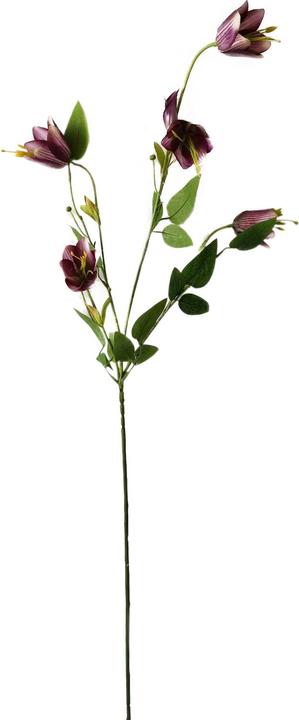 Actual product image NTK-Collection Glockenblume 89 cm Flora (89 cm)