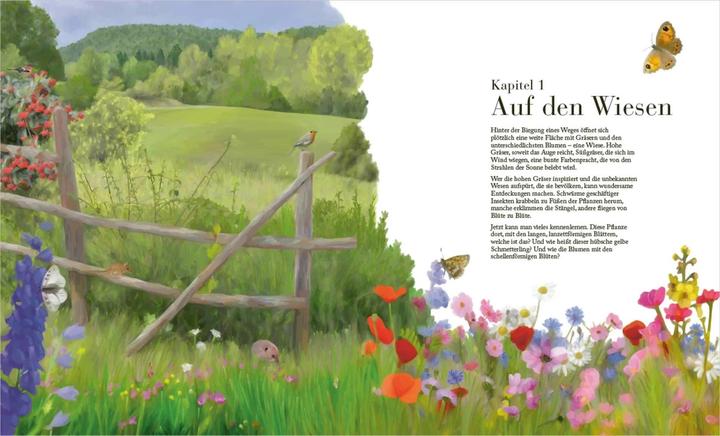 Produktbild Der grosse Naturführer. Pflanzen, Tiere, Wolken und Sternbilder bestimmen. Nach Lebensräumen (Deutsch, Xavier Nitsch, Blandine Pluchet, Morgane Peyrot, 2022)