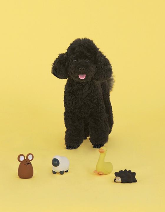 Produktbild United Pets Happy Farm-Igel Piero (Kauspielzeug Hund)