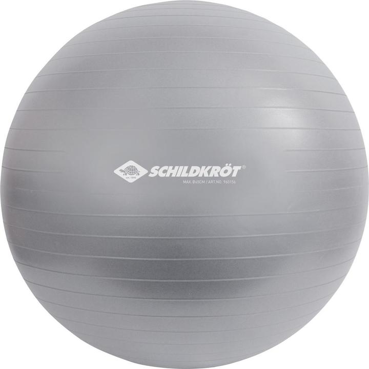 Schildkröt Gymnastikball 65 cm (65 cm)