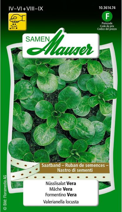 Samen Mauser Sweet Salad Vera Seed Ribbon (Vegetable seeds)