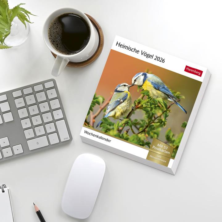 Immagine prodotto Harenberg Heimische Vögel Postkartenkalender 2026 - Wochenkalender mit 53 Postkarten (Tedesco)